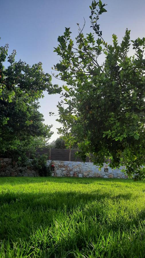 Creta Galini House Villa Sirilion Exterior photo