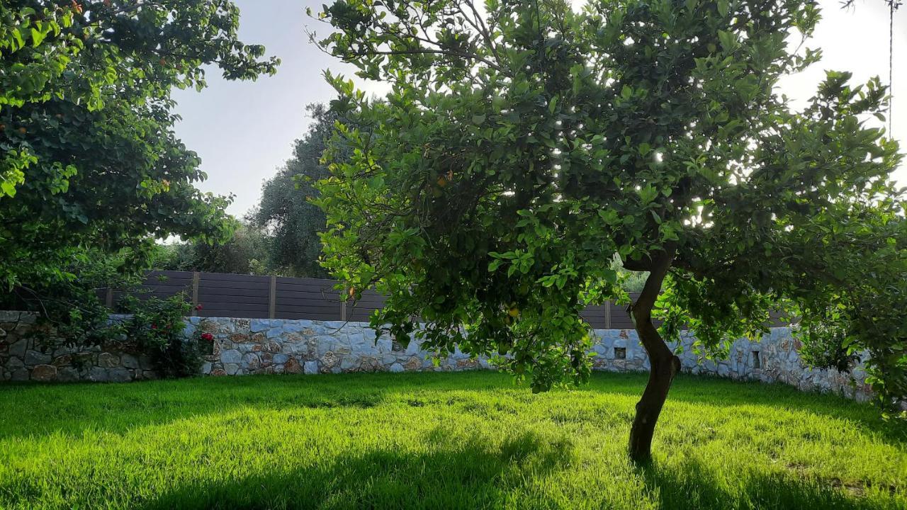 Creta Galini House Villa Sirilion Exterior photo